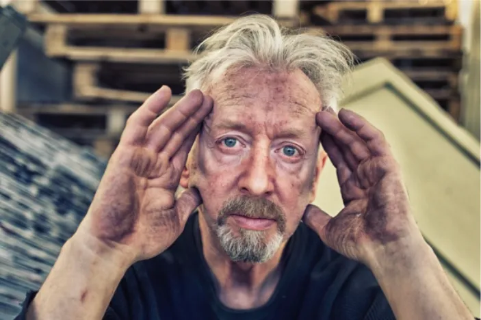 professional artists David Mach